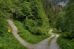 20180604_104524