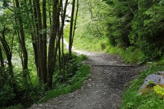 20180604_104651