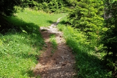 20180604_104836