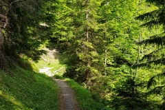 20180604_105218