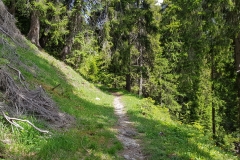 20180604_110755