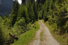 20180604_112344
