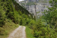 20180604_112356