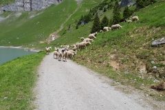 20180604_115804
