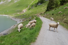 20180604_115913