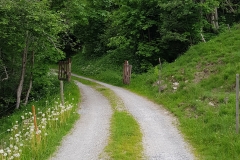 20180604_135807