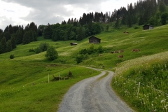 20180604_140816