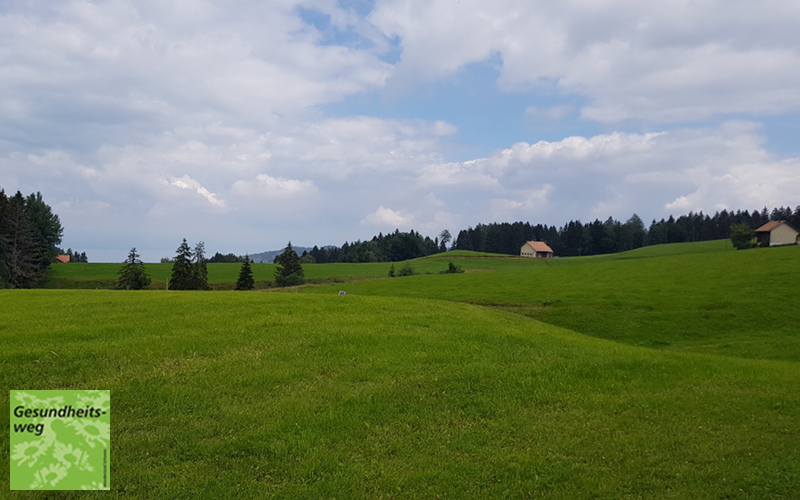 Gesundheitsweg
