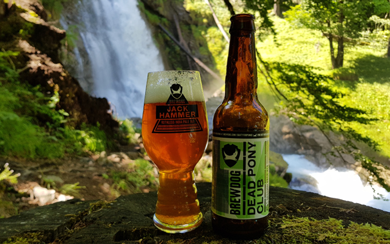 Dead Pony Club from Brewdog