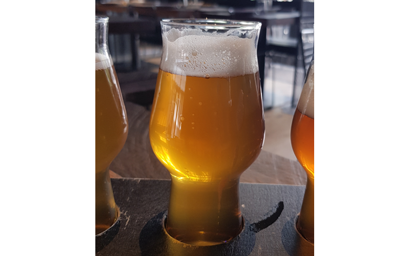 Pale Ale from BRŁO